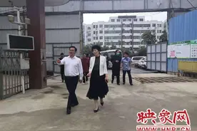 南阳市副市长阿颖带队到仲景街道督导巩卫迎复审工作图片