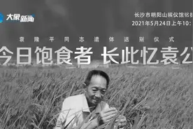 河南网友送袁老：永远爱吃大米饭图片