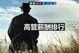 1000位光伏企业高管薪酬排行榜图片