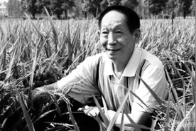 梦想着杂交水稻覆盖全球的袁隆平，逝世后得到全世界的悼念图片