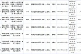 济南“两集中”土拍第四批多底价成交，“宋风古城”项目迎新进展图片