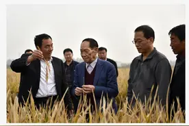 外媒眼中的袁隆平：为全球粮食安全作出了杰出贡献图片
