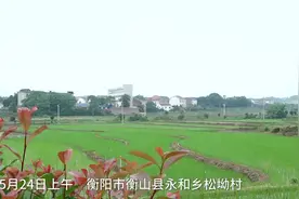 泪别袁老丨袁老师，您看过的那片田，现在长得多好啊视频封面