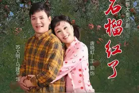 6年不离不弃唤醒植物人丈夫，沪剧《石榴红了》取材奉贤巴士公司员工真人真事图片