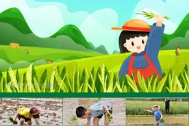 济南市东方双语实验学校2020级10班组织农耕社会实践活动图片
