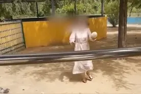 女子跳进动物园鸵鸟圈捡蛋，抱起来就跑！园方本打算报警……图片