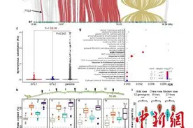 月季为什么带刺？科学家提出“皮刺储水”功能新假说图片
