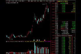 22万股民懵了！“油茅”暴涨近13%，什么原因？林园重仓杀入，资管巨头景林也盯上了它图片