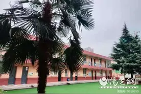 浐灞第二十三小学开展读书系列活动图片