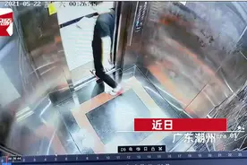 男子手机掉入电梯缝，10楼掉至1楼竟毫发无损，网友：求手机壳图片