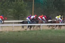 全球连线丨赛上绿洲 策马奔腾视频封面