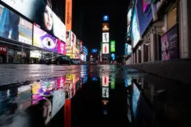 美国纽约老鼠比人多？“狗拿耗子”灭鼠队出街，一晚逮40只图片