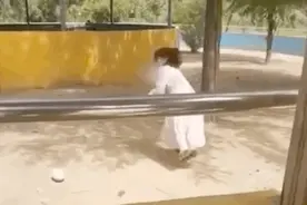 女子翻越围栏偷走驼鸟蛋！园方通报图片