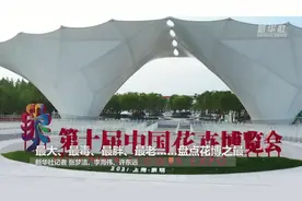 最大、最毒、最胖、最老……盘点花博之最视频封面