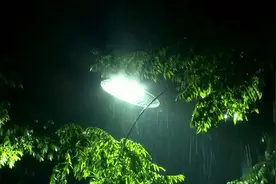 电闪雷鸣！山东多地昨夜出现雷阵雨，半岛10级大风，威海、烟台降下中雨图片
