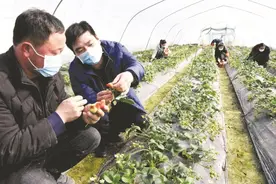 淮南市决战决胜脱贫攻坚战纪实㉓选派干部篇图片