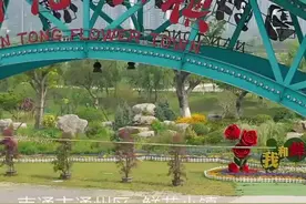 千城胜景|来鲜花小镇 看花花世界视频封面