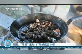 人宠都能吃！美国吃货出动，蛰伏17年的蝉被烤着吃炸着吃视频封面