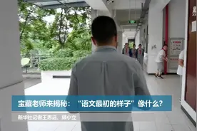 宝藏老师来揭秘：“语文最初的样子”像什么？图片