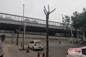 三棵行道树被浇不明液体濒临死亡 绿化人员已报警图片