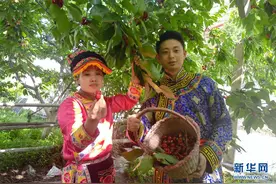 四川以“农村公路+”不断疏通乡村振兴的“经脉”图片