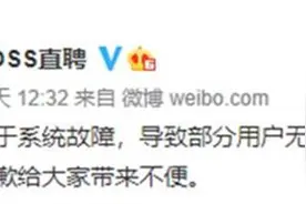 BOSS直聘网站崩了，网友评论：打工人太多了图片