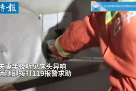 惊悚！女子半夜被大蛇打呼吵醒，声音竟是从床头靠背里传出来图片