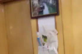 老人每天拥抱亲吻老伴：增加彼此幸福感视频封面