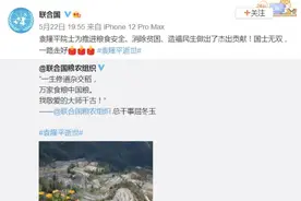 国际社会缅怀袁隆平：他是造福世界的中国科学家图片