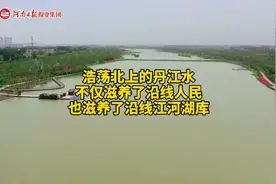 四水同治在行动｜大沙河“喝”上丹江水图片