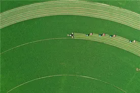 双星陨落，山河同悲！壮志永继、薪火相传是最好的缅怀图片