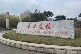 “秃然危机”下，李哥庄一年28亿的头发生意：人发原料价持续上涨，每公斤可高达几千元图片