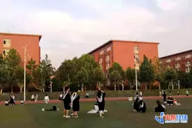 翟天临回应被骂背后：论文查重费用疯涨10倍，卖家接单“接到手软”图片