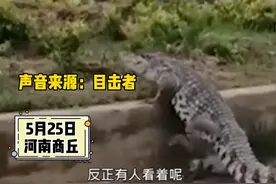 河南一表演公司当街遛鳄鱼图片