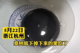 罕见！男子发现黑心鹅蛋：蛋是好蛋，怀疑是鹅吃多了桑葚图片