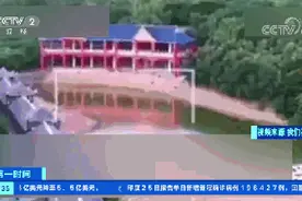 三天两起老虎咬死人事件！谁之过？动物园，谁都能开吗？需要有什么资质？图片