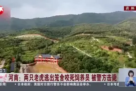 河南：两只老虎逃出笼舍咬死饲养员  被警方击毙视频封面