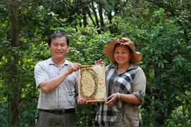 覃兆平：双手“酿出”甜蜜生活图片