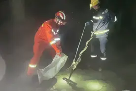 注意了！常德多地上演“蛇出没”，2米长大花蛇在房间游荡吓坏居民图片