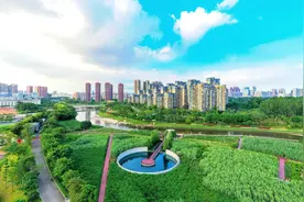 观澜河湿地公园更美了！还有多少惊喜是我们不知道的？图片