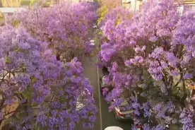 今早起床先晒月亮，然后记得带把伞……图片