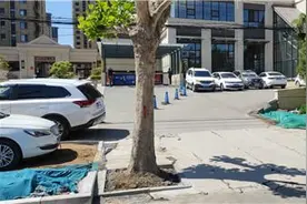 御蓝山小区车库出入口有树木影响车辆通行 12345便民热线转办移树图片