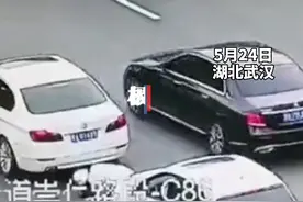 车子正在开，一只小猫钻进车底“躲猫猫”图片