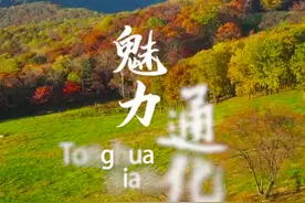 千城胜景｜魅力通化县视频封面