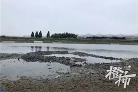 轰！天空掉下不明黑色物体坠入鱼塘，挖了1米多深还没挖到图片