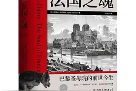 「好书推荐」读《法国之魂》：浪漫民族的理性选择图片