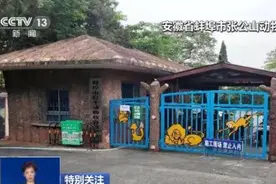 祸患常积于忽微！3天2起老虎咬死饲养员事件令人痛心 暴露了哪些问题？图片