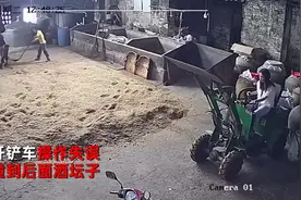 女子欲帮工人干活，开铲车操作失误直撞酒坛，酒喷撒而出满地都是图片