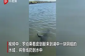 美国一男子湖中钓鱼 误钓上来一条2.4米长鳄鱼图片