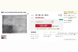 成都农商银行1000万股司法拍卖 系成都农商银行向自然人讨债图片